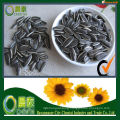 Hot Sell Inner Mongolia High Quality Seeds Turkish Sunflower seeds